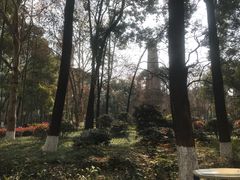 -绵阳人民公园(涪城区)