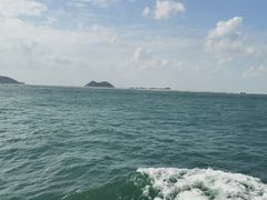-枸杞岛