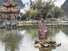 -靖西鹅泉风景区