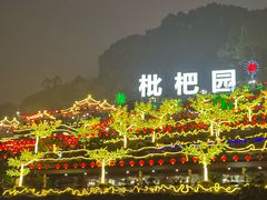 -枇杷园食为鲜火锅(南山店)