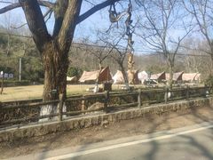 -南京老山国家森林公园