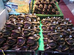 -渔人湾码头海鲜市场负二楼