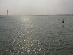 -滆湖低碳生态公园