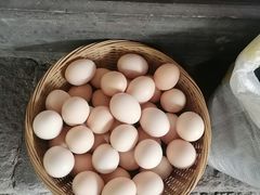 -丝绸小镇荻港古村