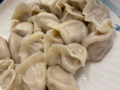 猪肉大葱水饺-大鸭梨烤鸭店(花园村店)