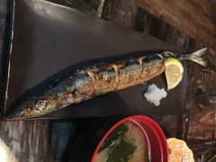 烤秋刀鱼-石田居烧き鸟
