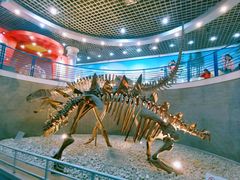 -国家自然博物馆