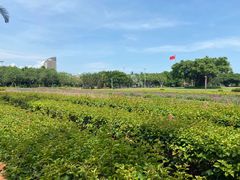 -万绿园