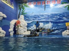-左海海底世界