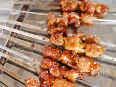 鸡拐骨-迎燕阁烤羊腿(二环南路店)