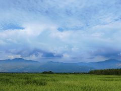 -野鸭湖国家湿地公园