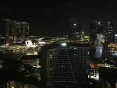 新加坡泛太平洋大酒店-新加坡泛太平洋酒店