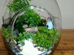 恐龙蛋-A+匠心DIY手工坊·首饰·微景观