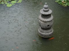 -碧江金楼