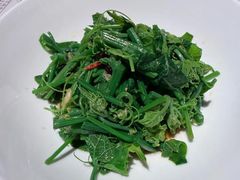 木姜子拌丝瓜尖-一坐一忘云南菜(北京skp店)