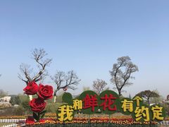 -南通鲜花小镇