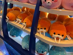 -上海海洋水族馆