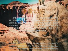 -深圳博物馆