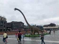 -恐龙探索乐园(磁器口店)