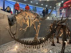 -国家自然博物馆