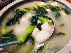青菜瘪子团-椿不老
