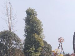 -枫香湖儿童公园