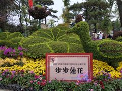 -莲湖公园
