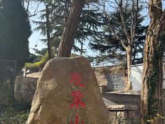 -观象山公园