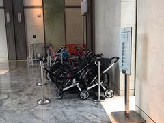 -上海崇明金茂凯悦酒店