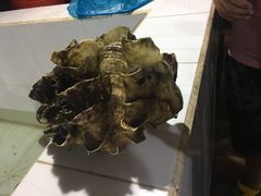 -海盗餐厅