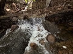 -老张烤羊(王哥庄店)