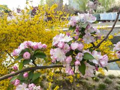 -元大都城垣遗址公园