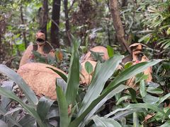 -广州长隆野生动物世界