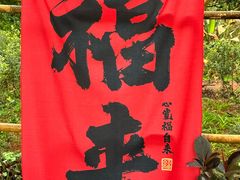 -南宁良凤江国家森林公园