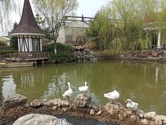 -天毓山庄·餐厅