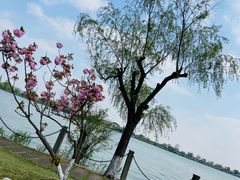 -南北湖风景区
