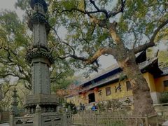 -普陀山风景名胜区-法雨禅寺