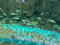 -威海华夏城景区