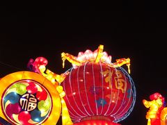 -长春市南湖公园