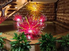 -西安赛瑞喜来登大酒店