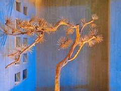 -春熙台韩国料理·章鱼肥牛(西丽店)