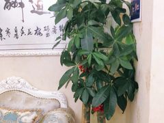 -至尊名仕·中泰按摩·养生SPA会所