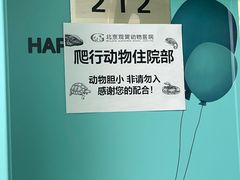 -北京观赏动物医院·24小时大型综合·猫专科·异宠专科