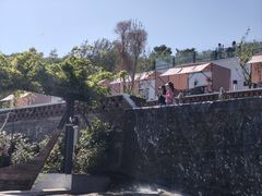 -白水寺森林公园
