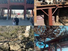 -沂蒙山旅游区龟蒙景区