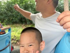 -碧海金沙