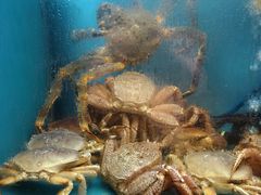 -阳光码头海鲜火锅(玉立路店)