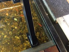 -颐和•海鲜砂锅粥•啫啫煲(奥林匹克广场店)