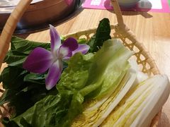 -椰夫人·养生椰子鸡(金沙洲永旺店)