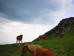 -灵山